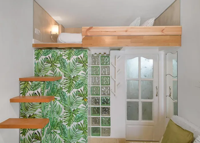 Apartamento Vista Blanca 5